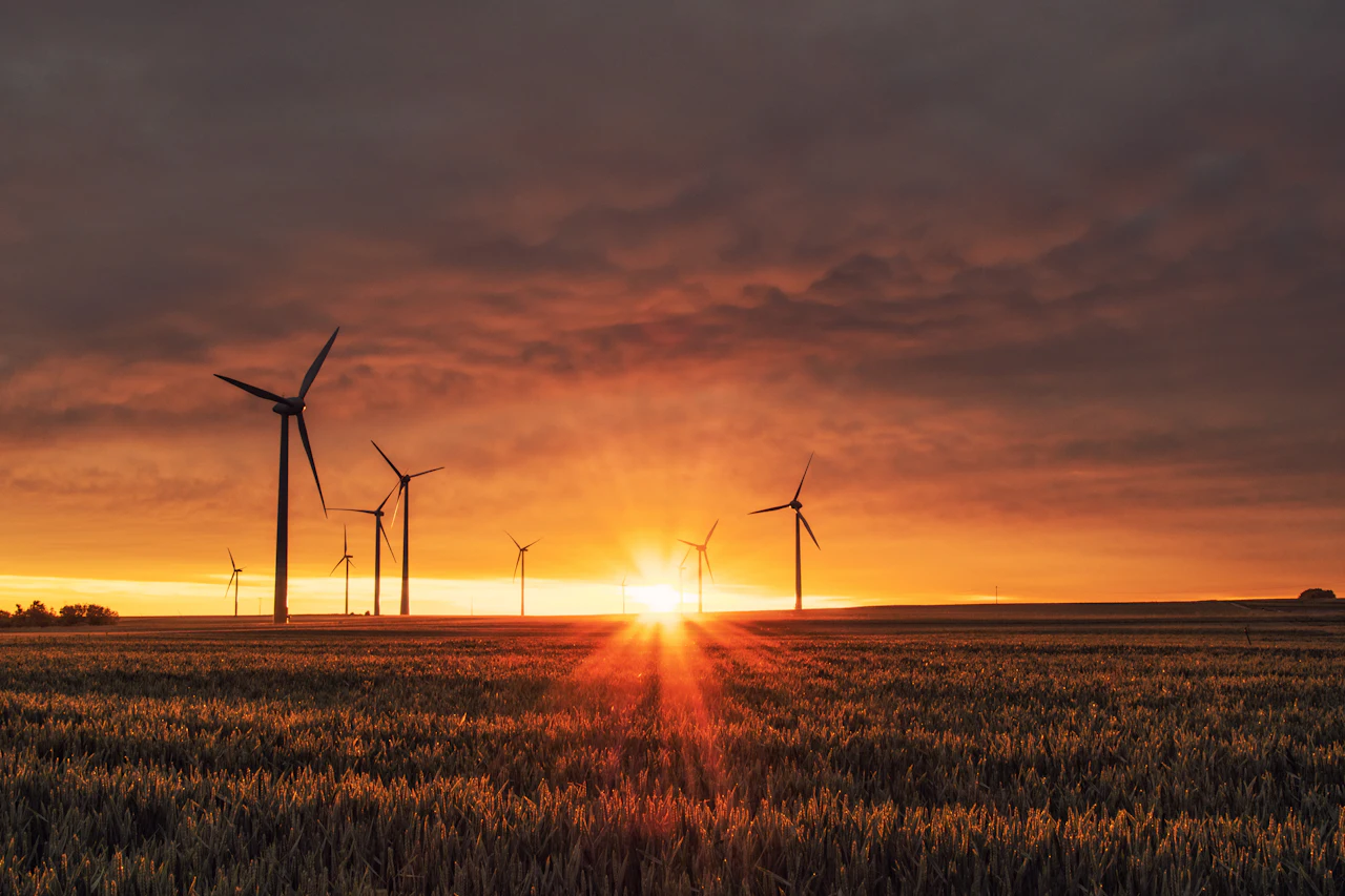 Sustainability & Compliance